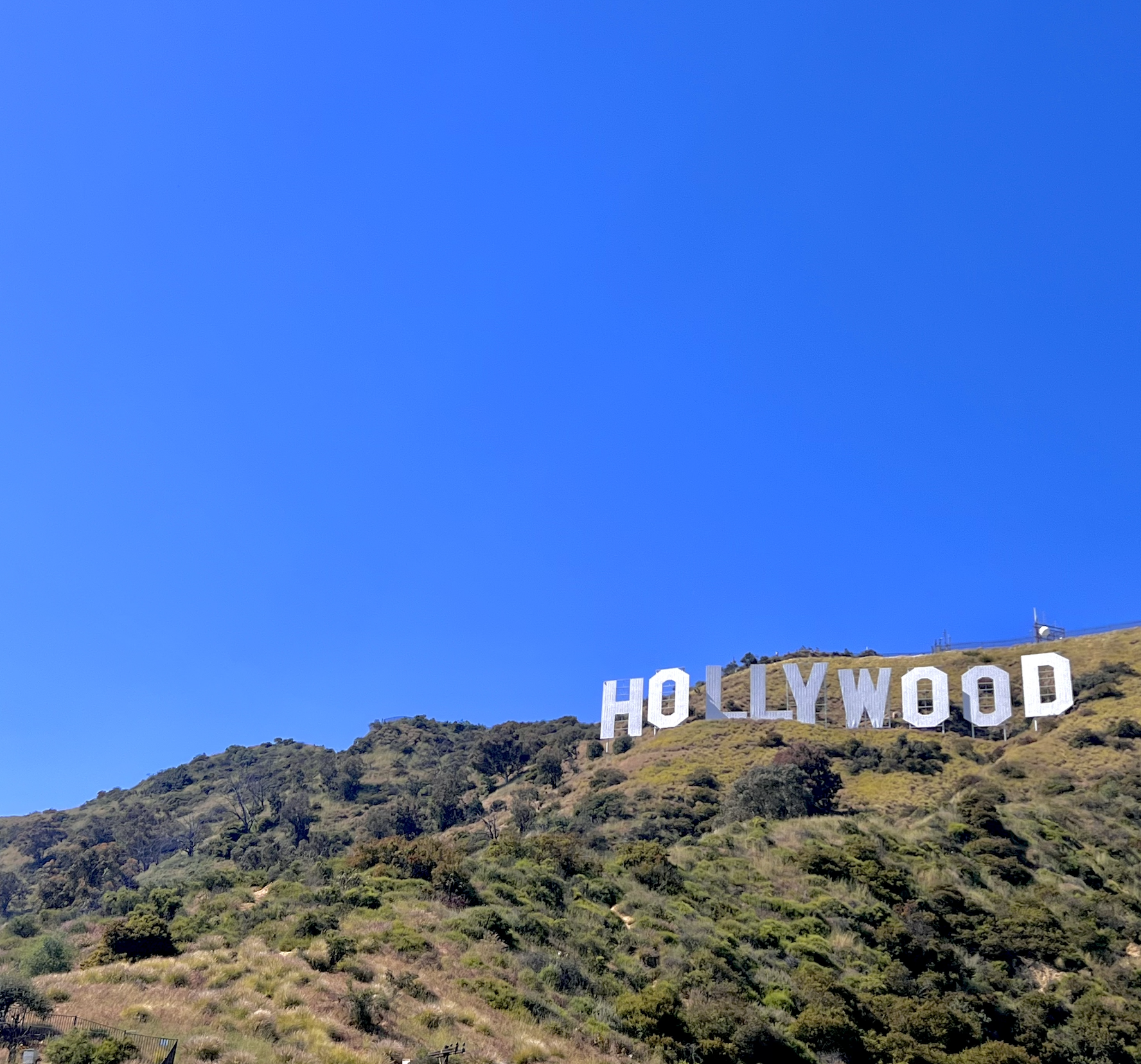 Stargazing in the City of Angels: Where To Find LA’s Elite
